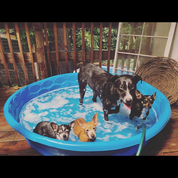 MEET THE WITCH! - Picture 8 of 12